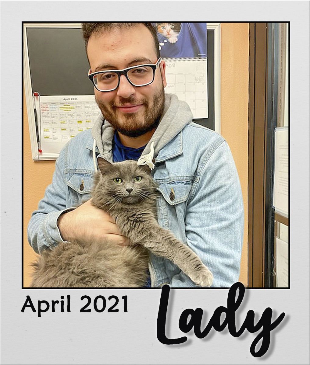 Adopt-Apr-2021-Lady