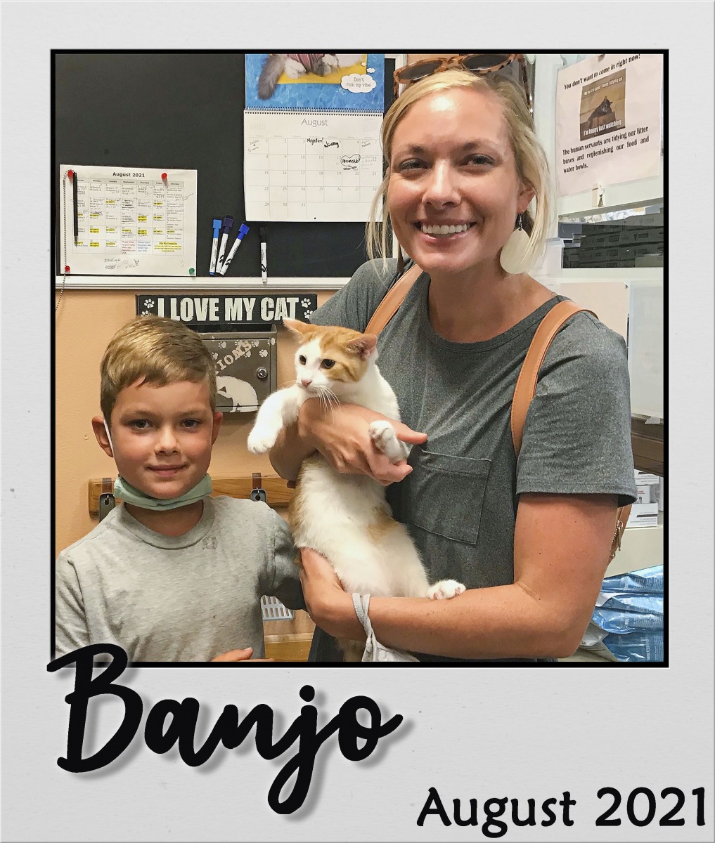 Adopt-Aug-2021-Banjo