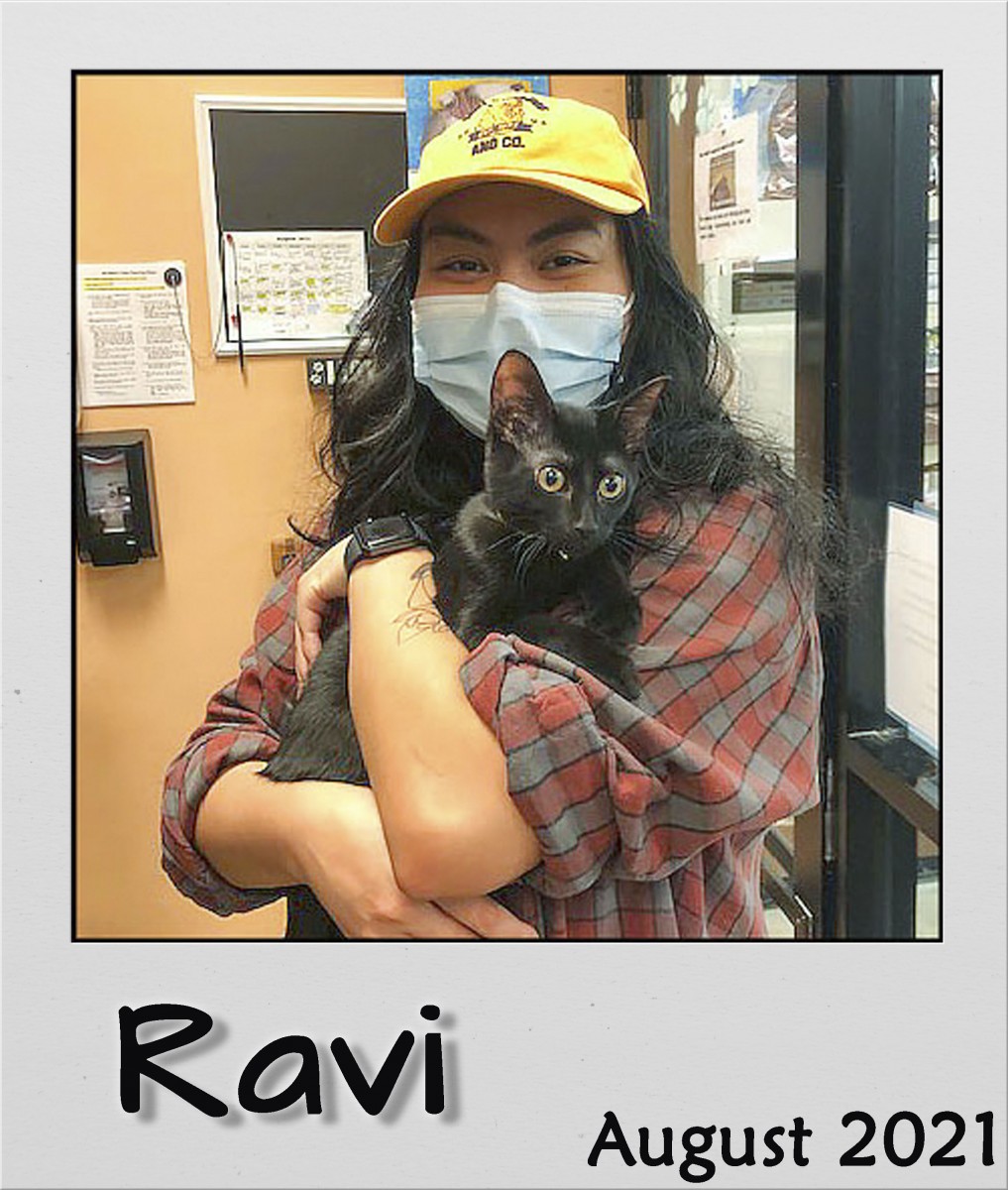 Adopt-Aug-2021-Ravi