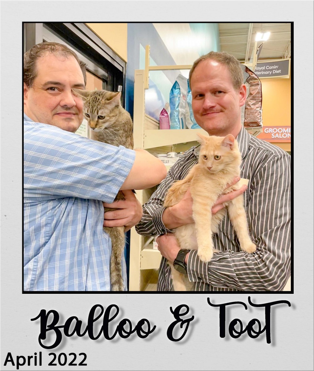 Adopt-Balloo-and-Toot-Apr2022