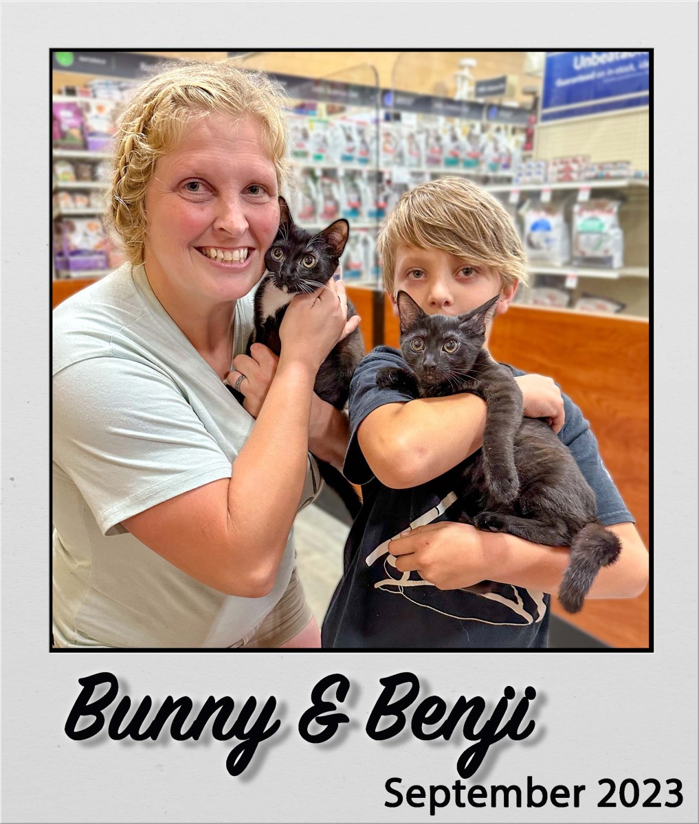 Adopt-Bunny-and-Benji-Sep2023