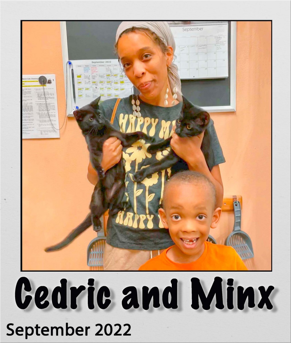 Adopt-Cedric-and-Minx-Sep2022