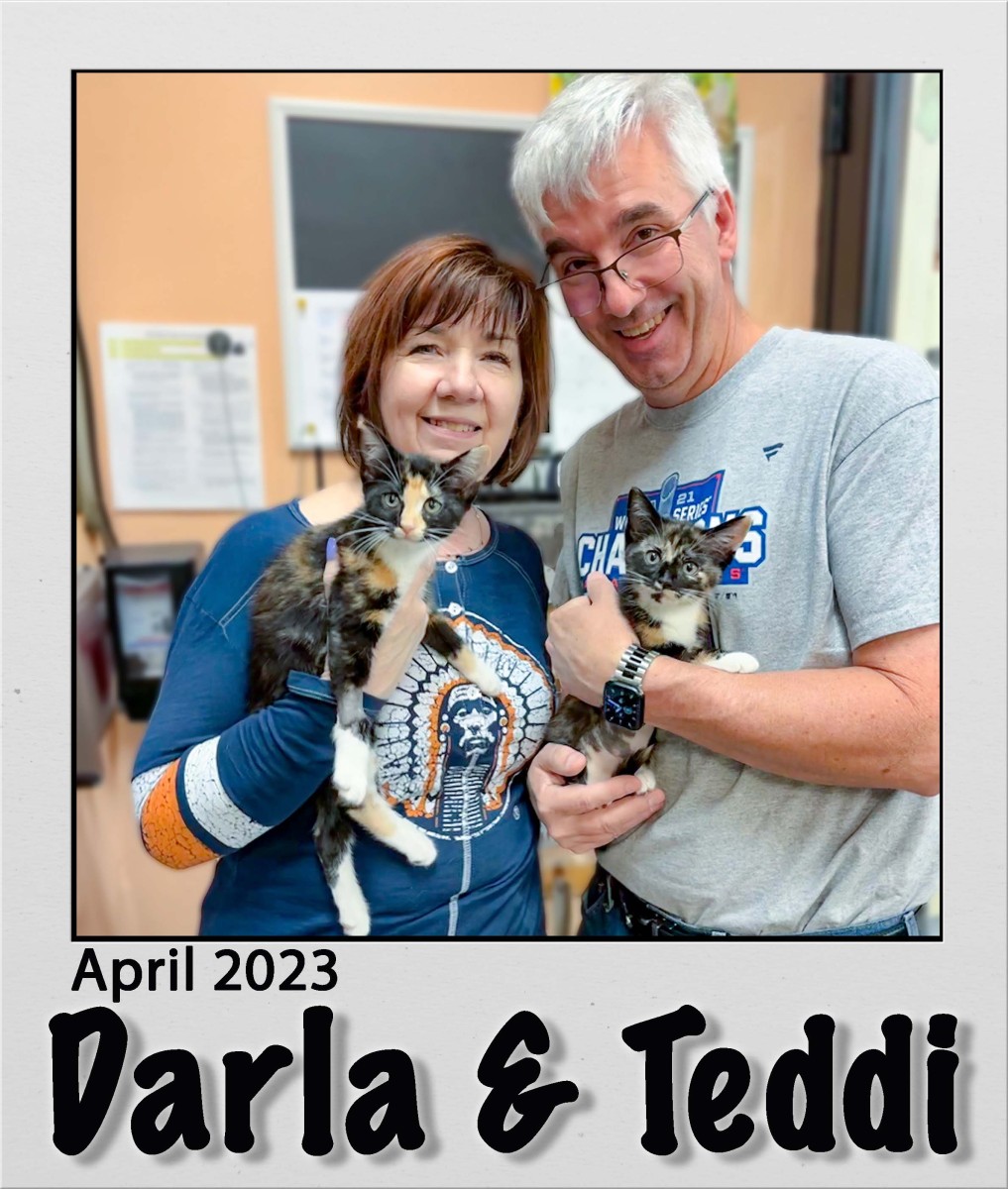Adopt-Darla-and-Teddi-Apr2023