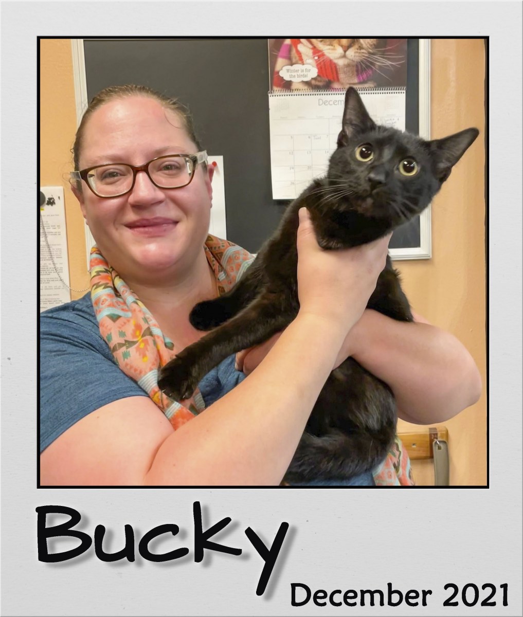 Adopt-Dec2021-Bucky