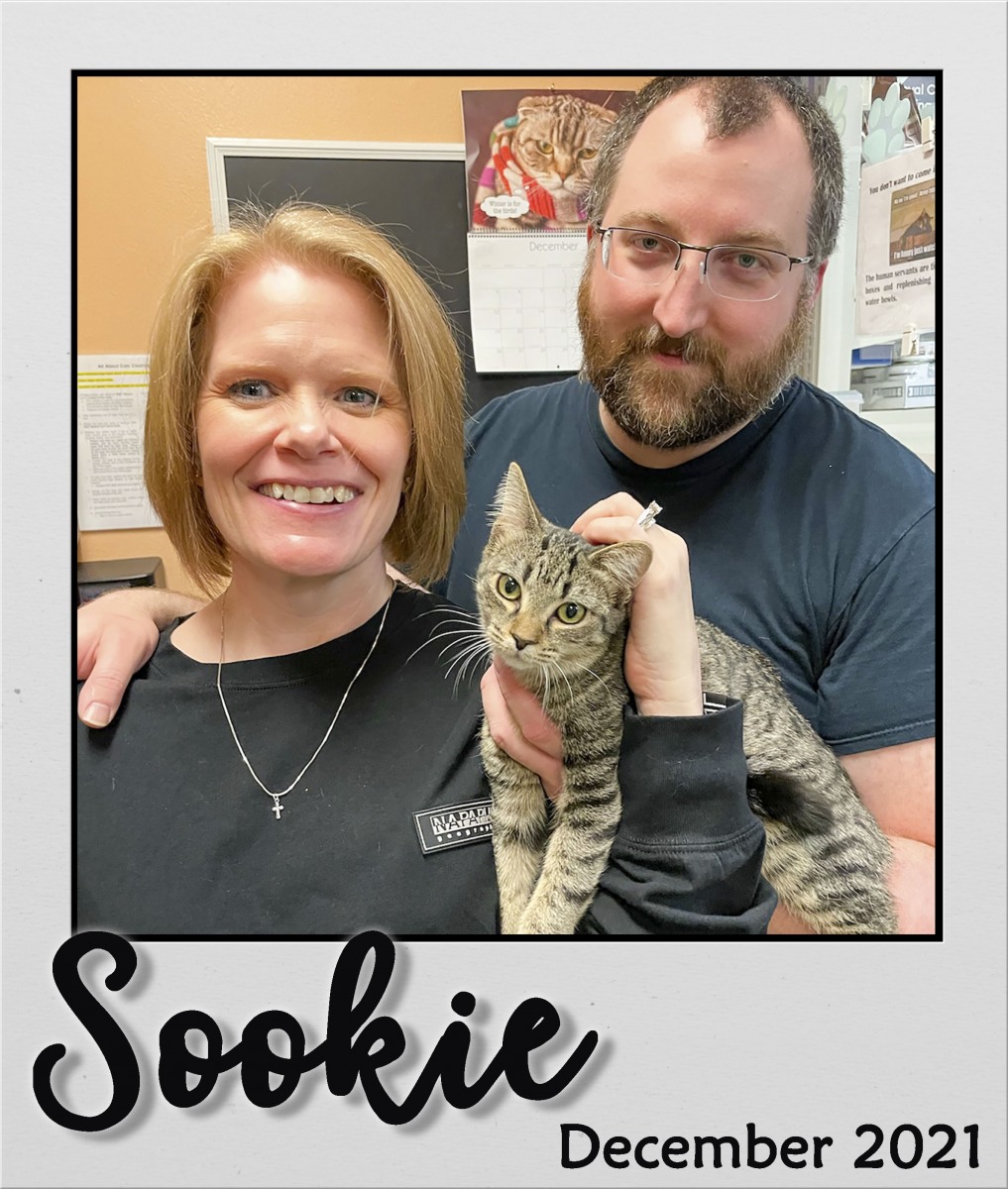 Adopt-Dec2021-Sookie