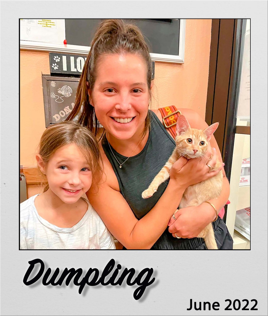 Adopt-Dumpling-Jun2022