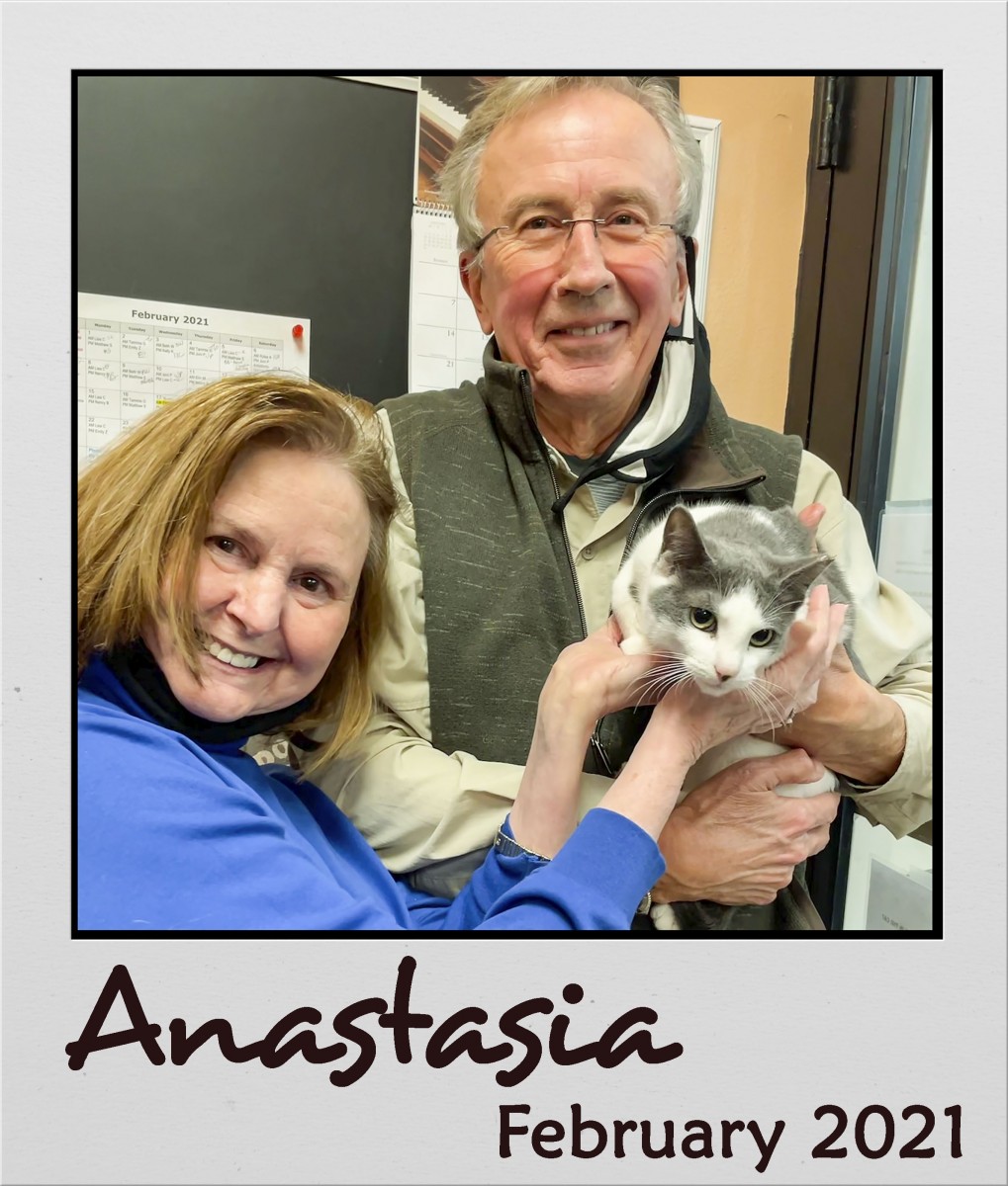 Adopt-Feb-2021-Anastasia