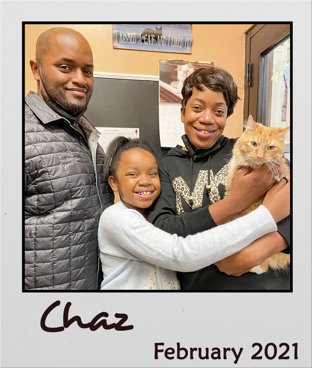 Adopt-Feb-2021-Chaz