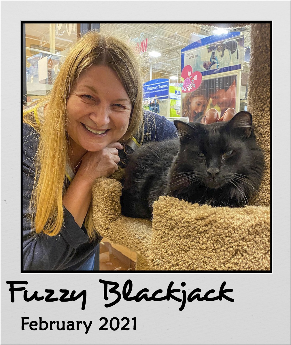 Adopt-Feb-2021-Fuzzy-Blackjack