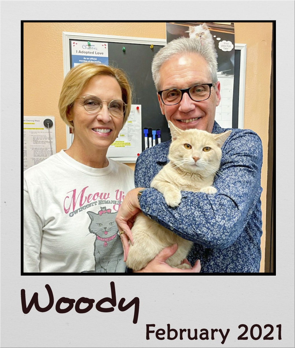 Adopt-Feb-2021-Woody