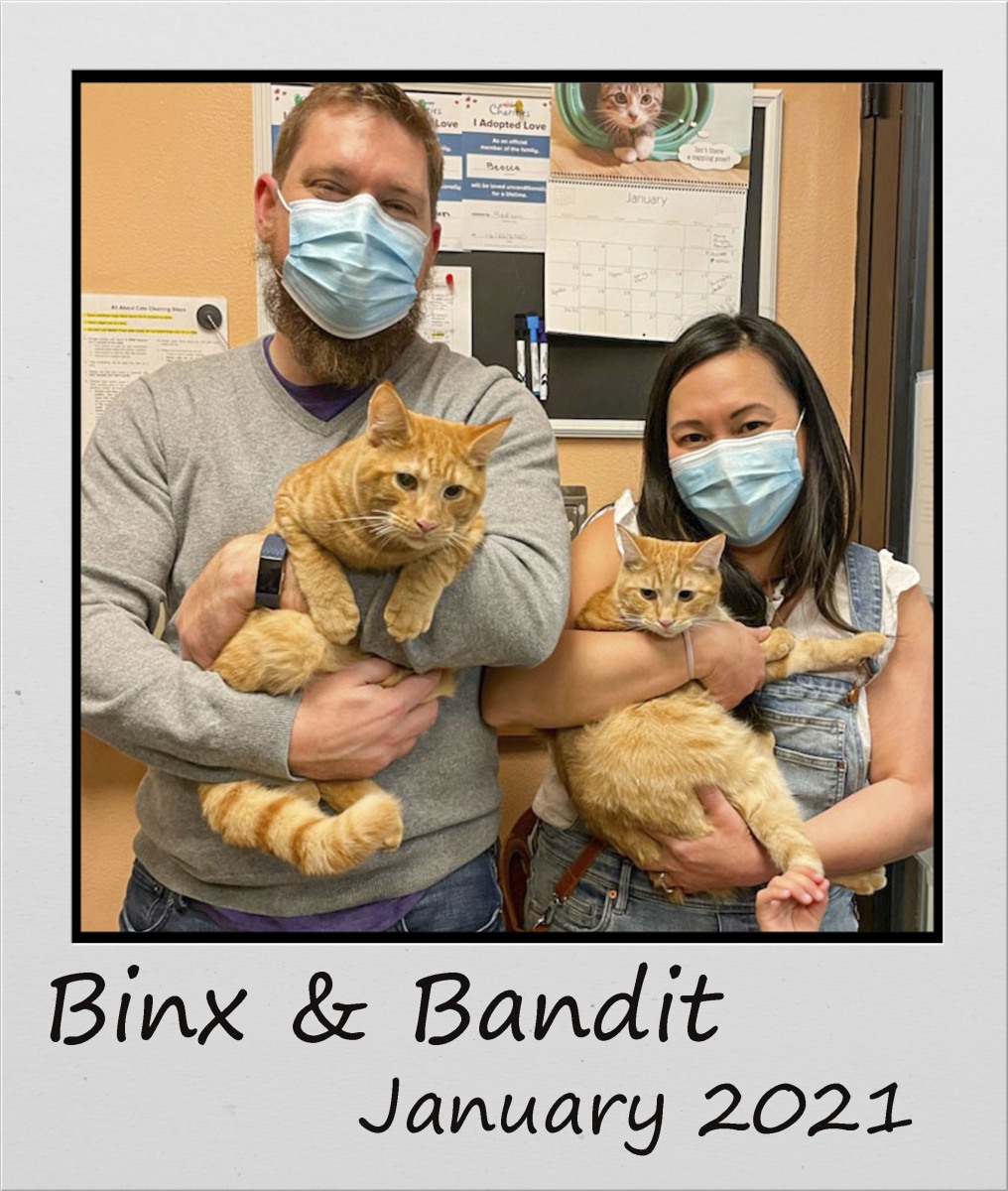 Adopt-Jan2021-Binx-and-Bandit