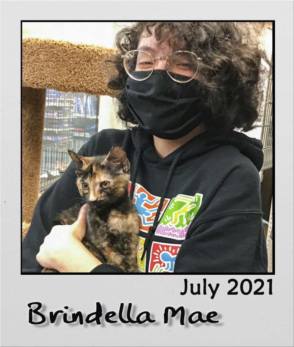 Adopt-July-2021-Brindella-Mae