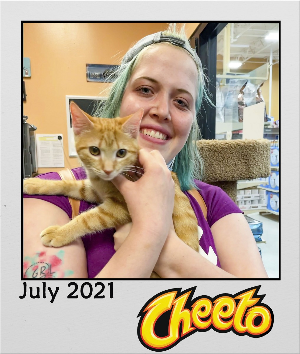 Adopt-July-2021-Cheeto