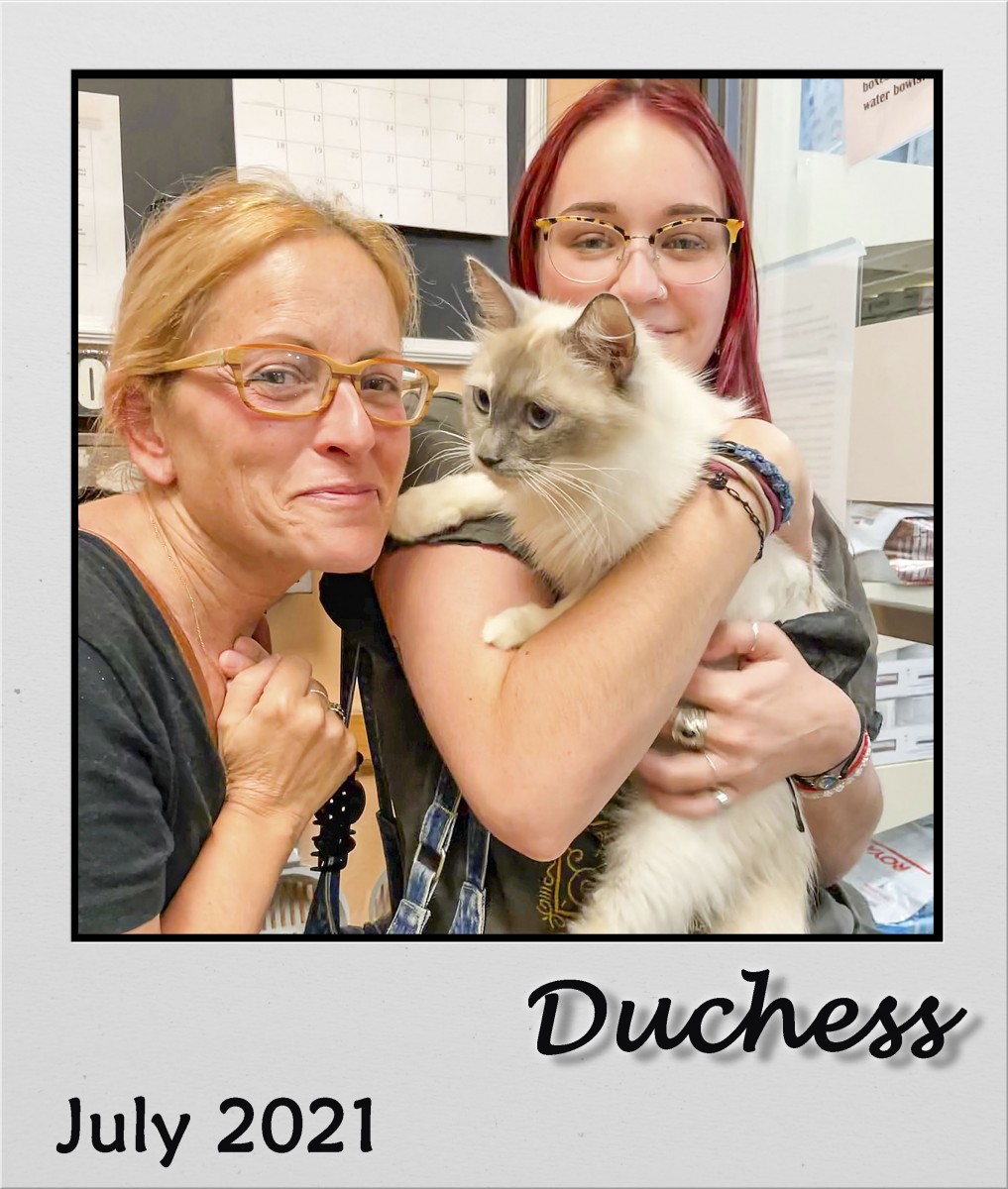Adopt-July-2021-Duchess