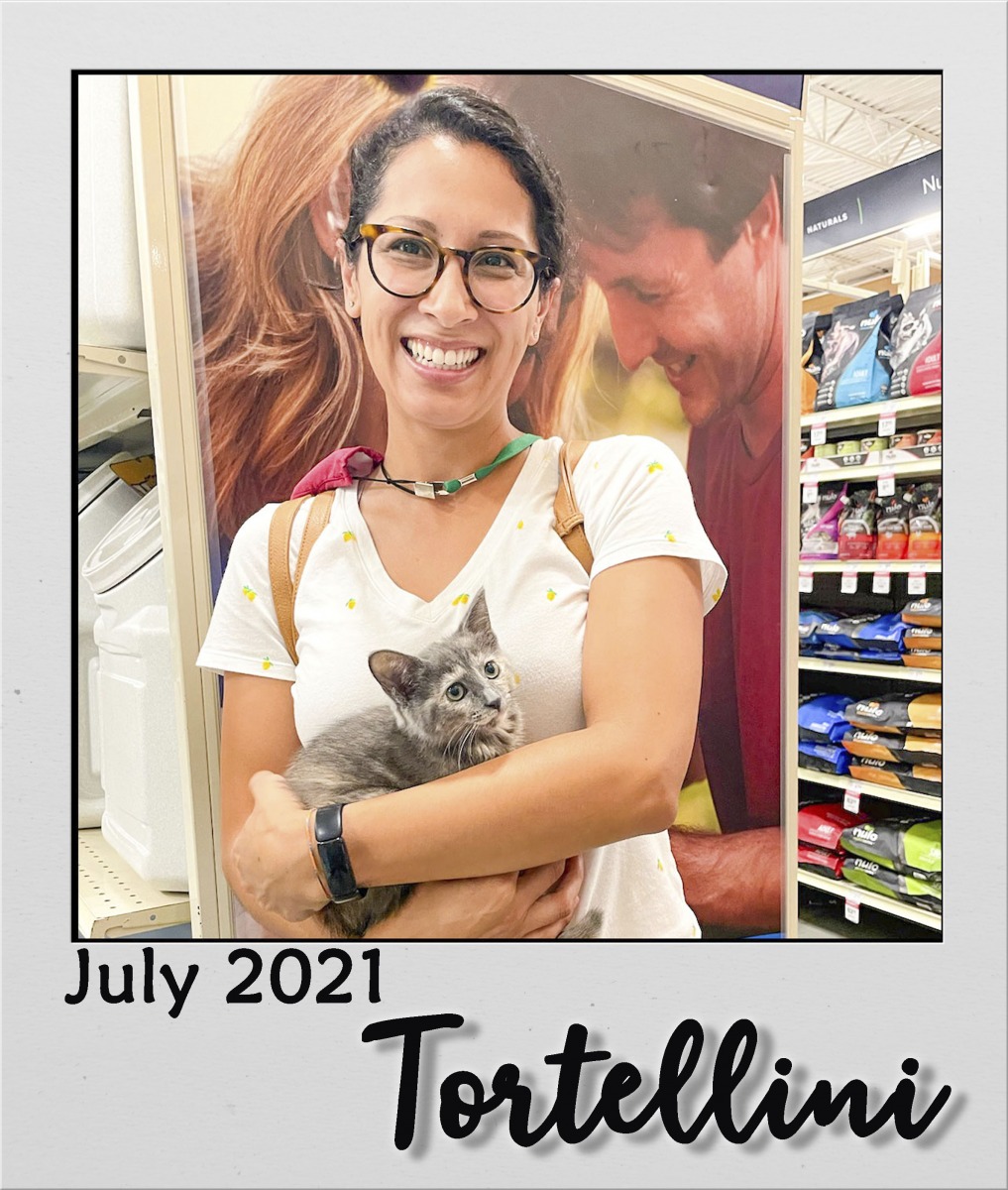 Adopt-July-2021-Tortellini