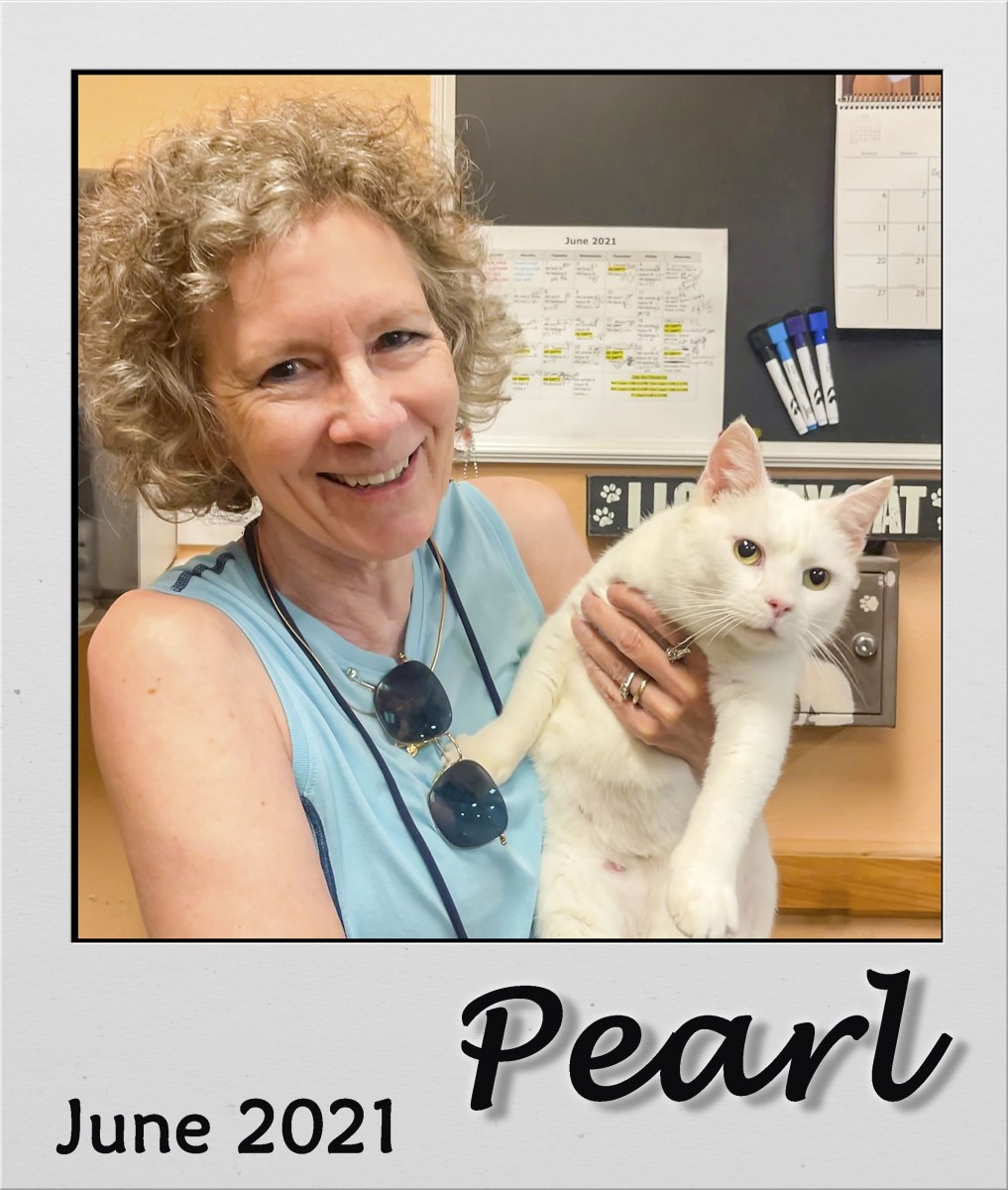 Adopt-June-2021-Pearl