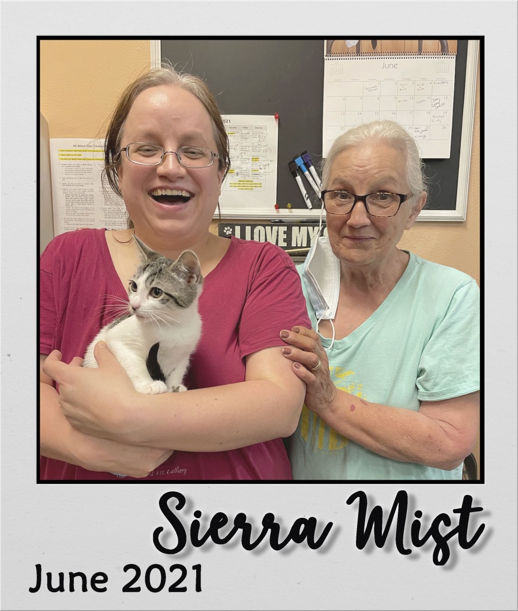Adopt-June-2021-Sierra-Mist