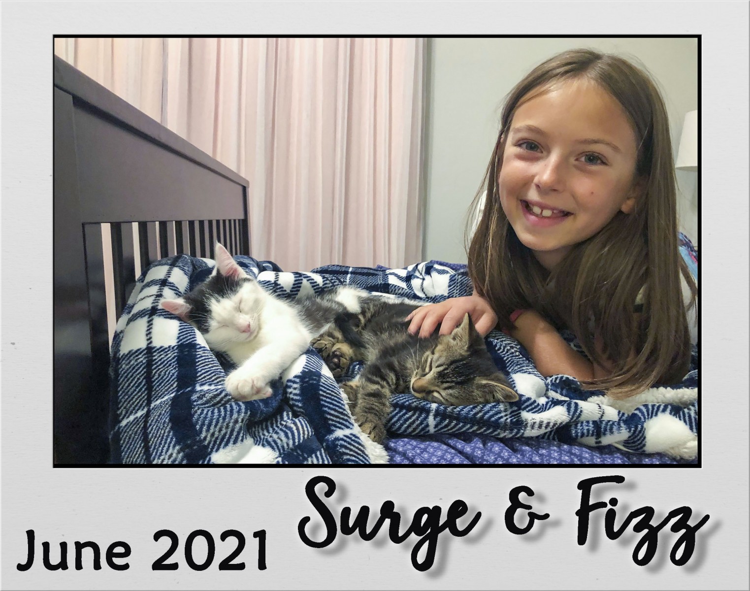 Adopt-June-2021-Surge-and-Fizz