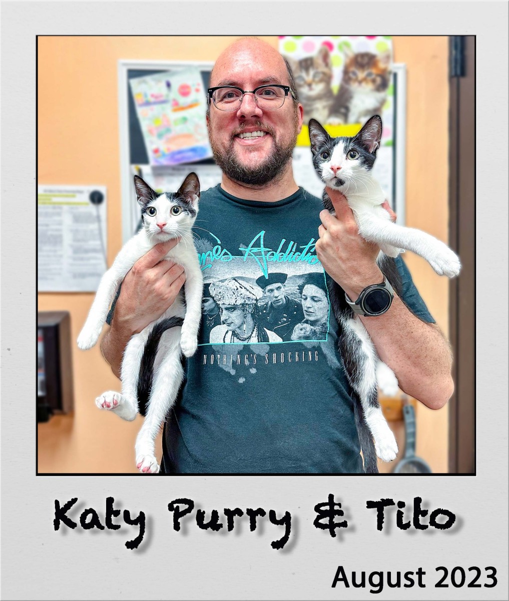 Adopt-Katy-Purry-and-Tito-Aug2023