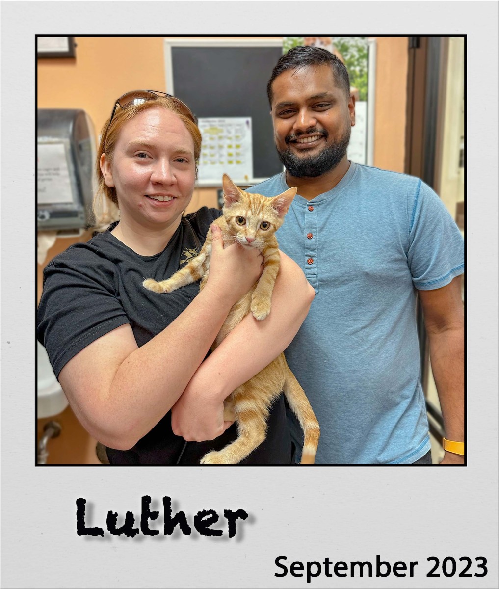 Adopt-Luther-Sep2023