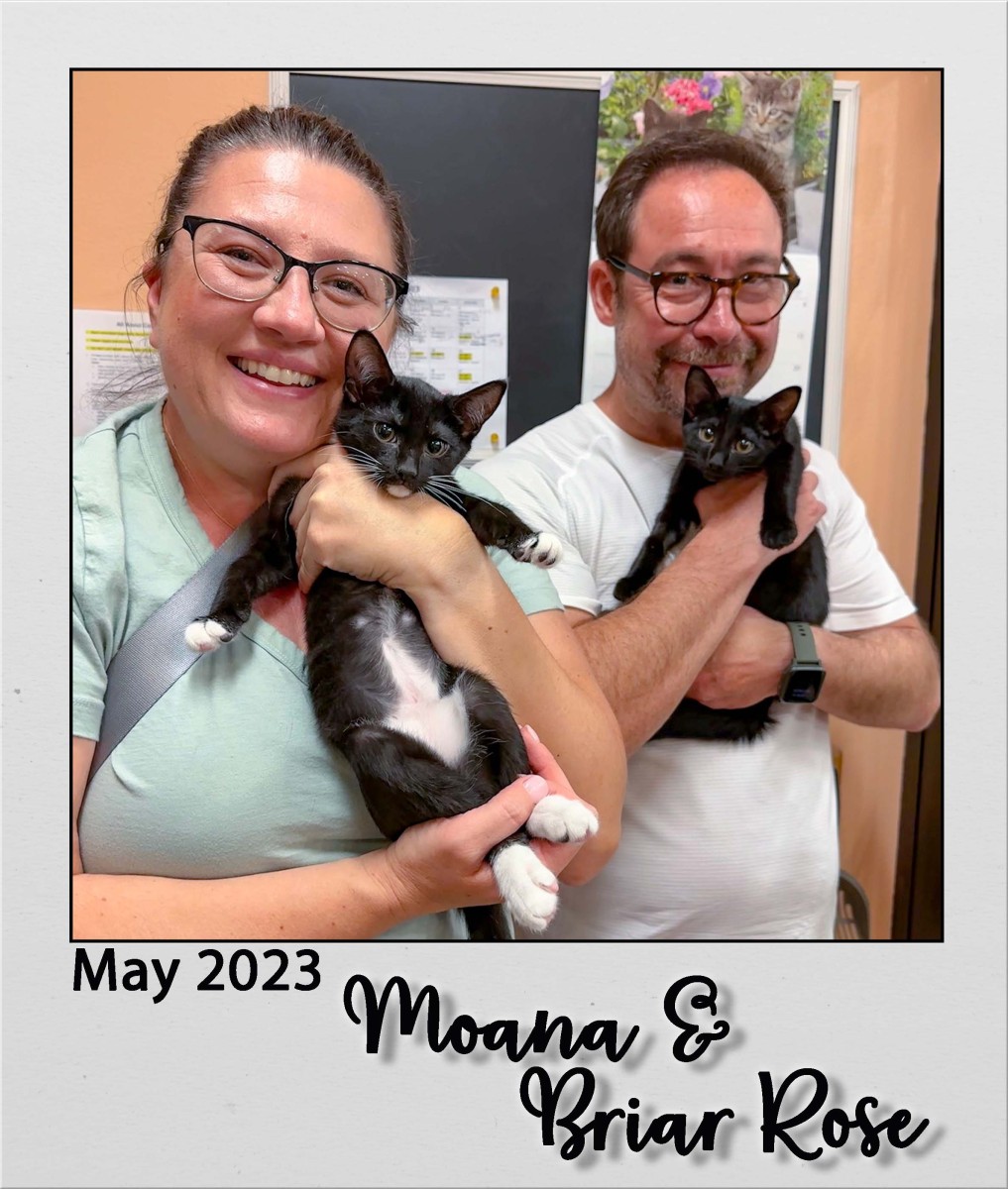 Adopt-Moana-and-Brair-Rose-May2023
