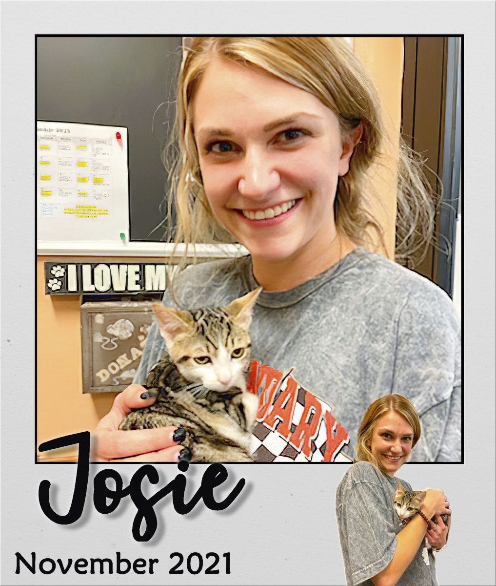 Adopt-Nov2021-Josie