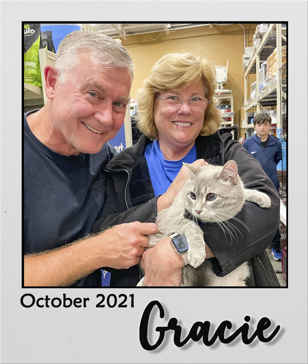 Adopt-Oct2021-Gracie