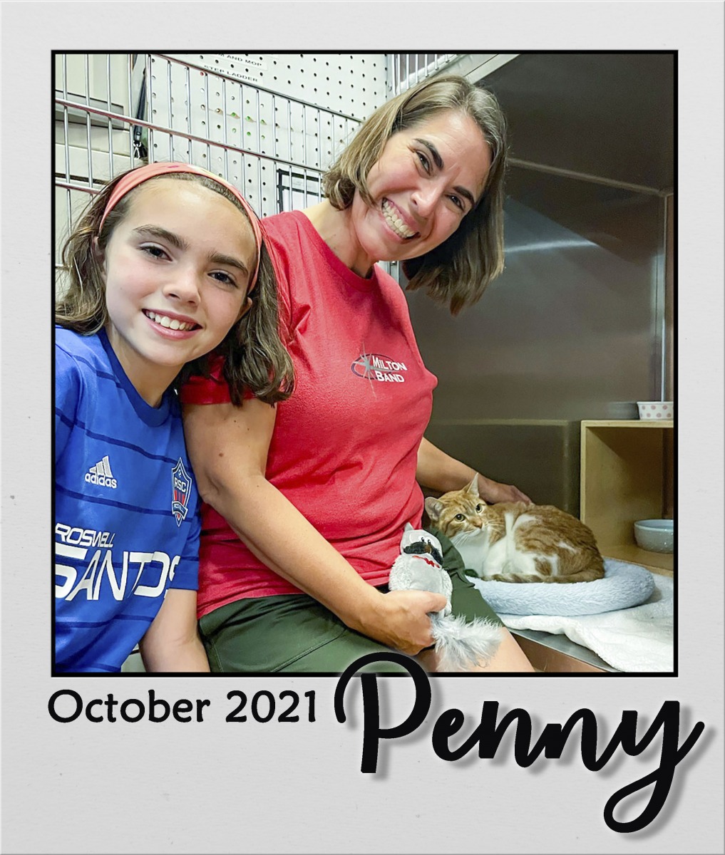Adopt-Oct2021-Penny
