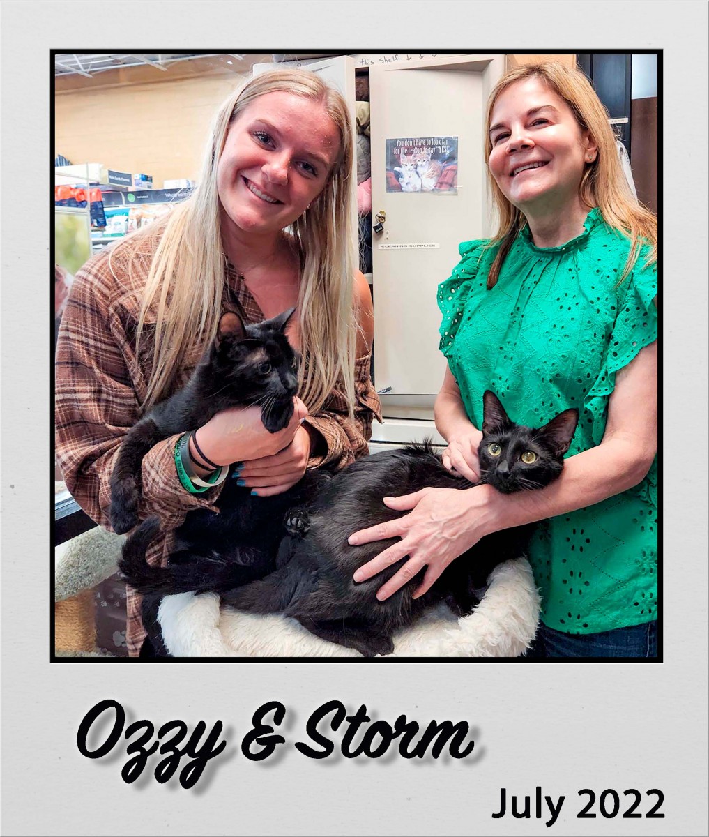 Adopt-Ozzy-and-Storm-Jul2022