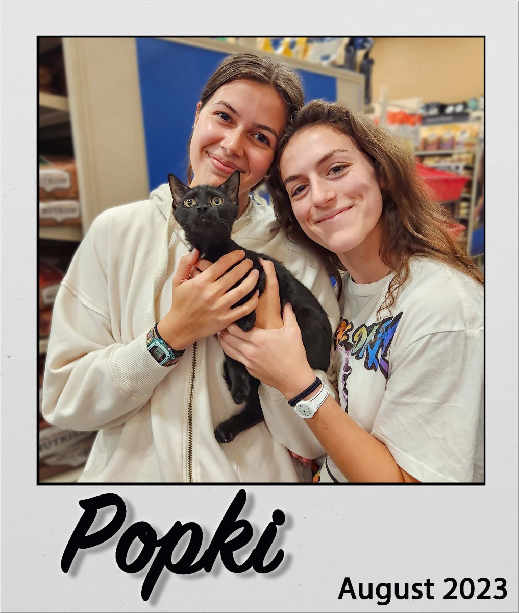 Adopt-Popki-Aug2023