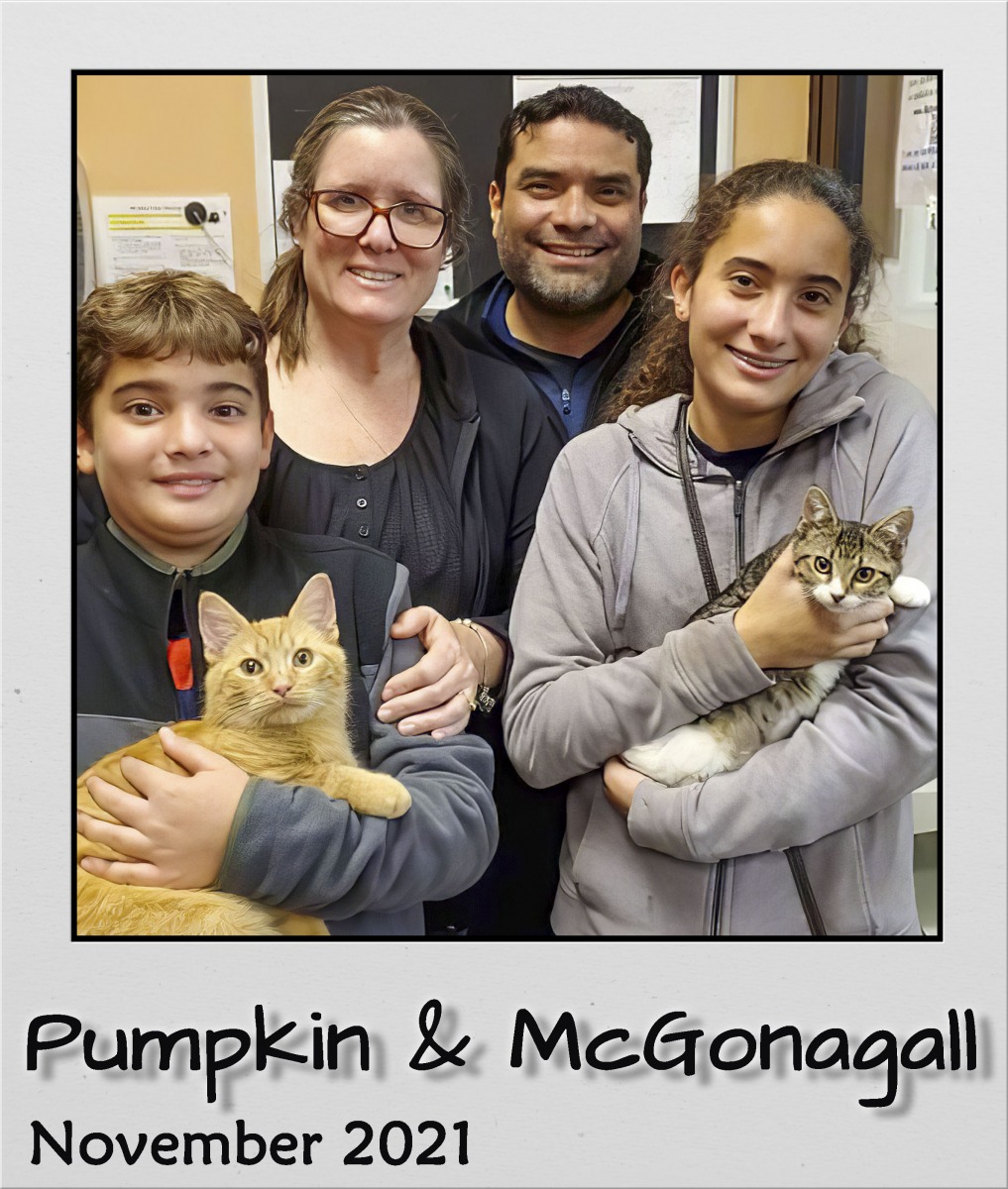 Adopt-Pumpkin-and-McGonagall-Nov2021