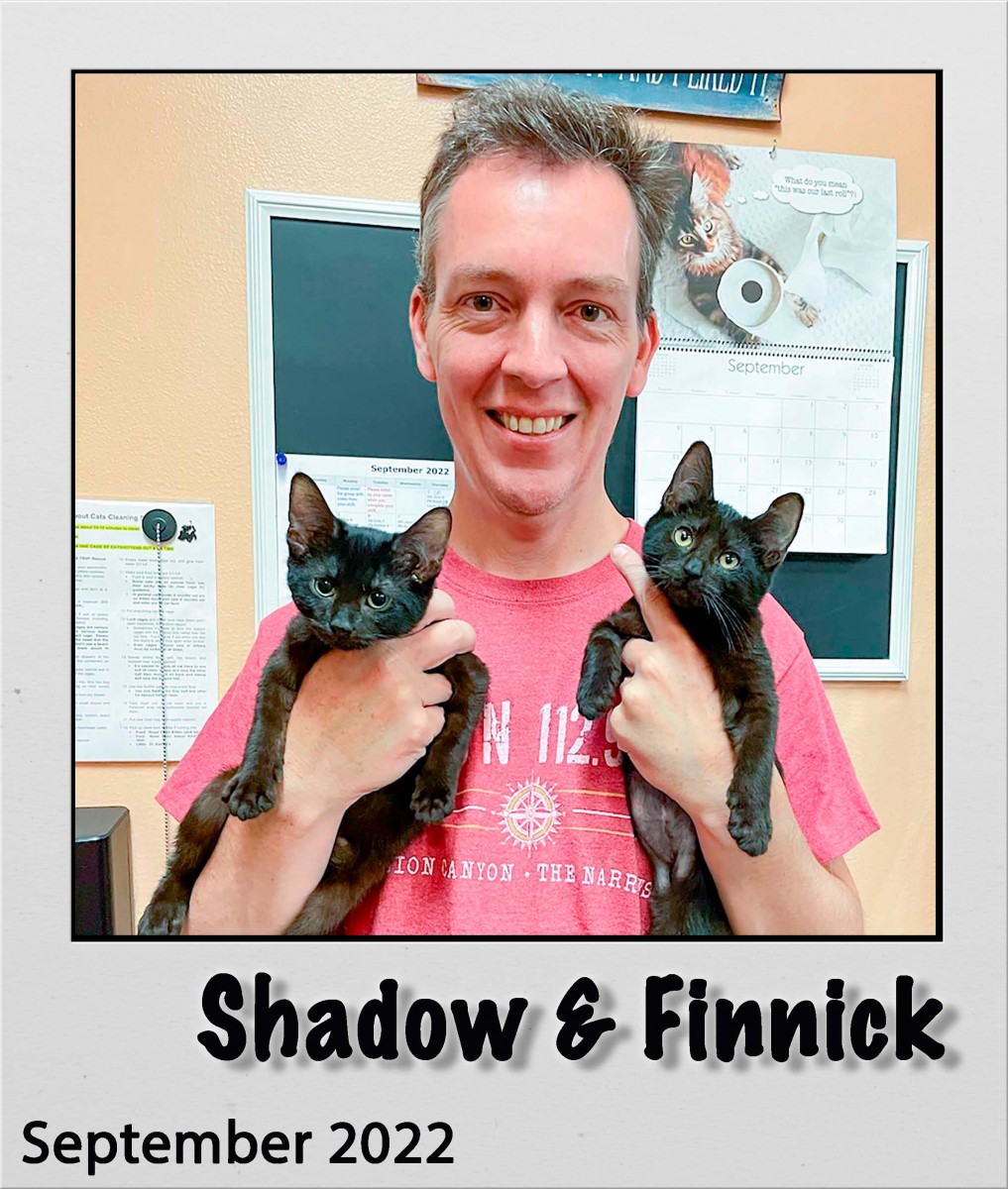 Adopt-Shadow-and-Finnick-Sep2022