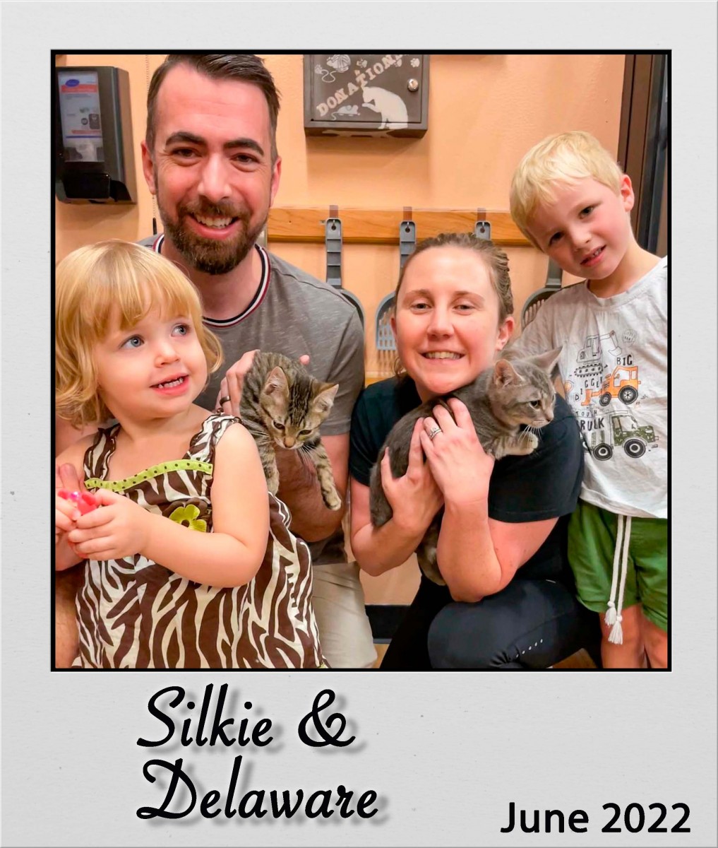 Adopt-Silke-and-Delaware-Jun2022