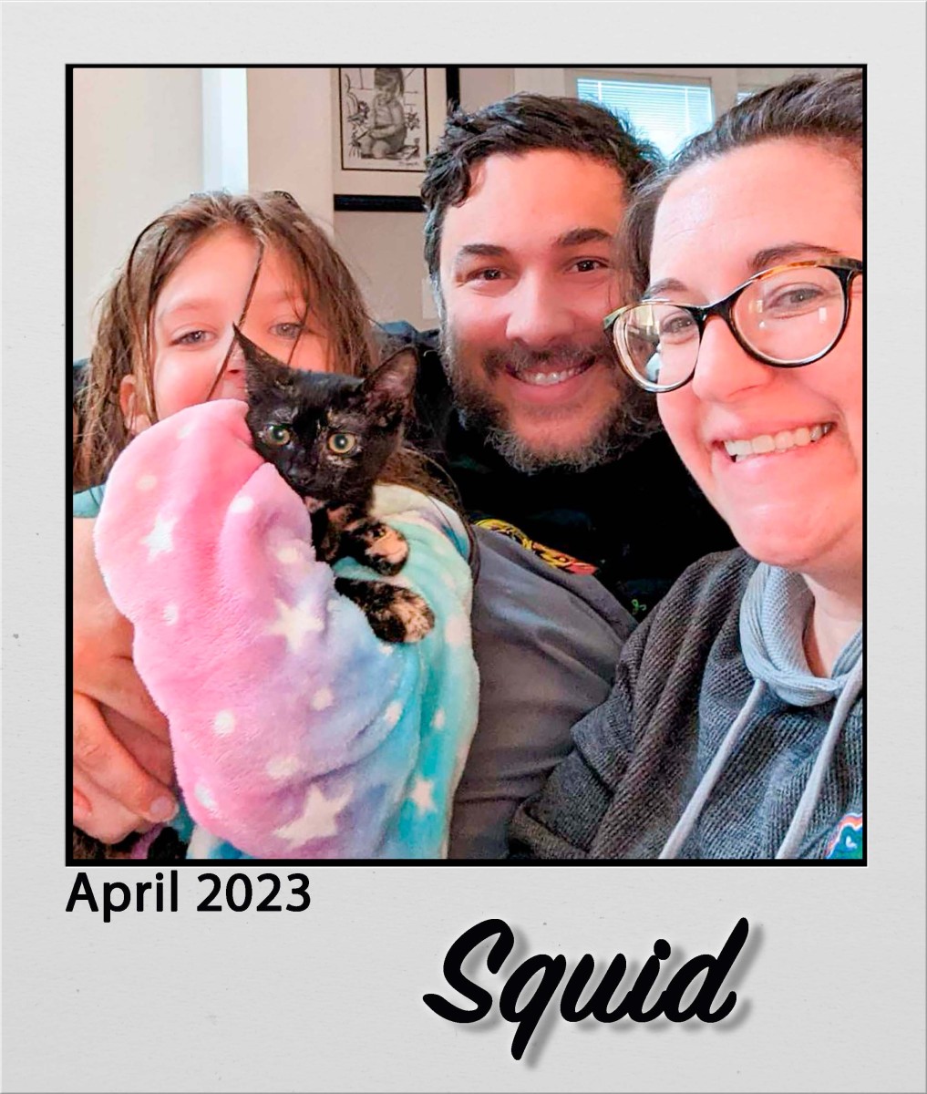 Adopt-Squid-Apr2023