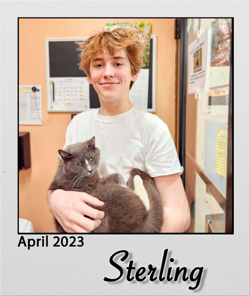 Adopt-Sterling-Apr2023