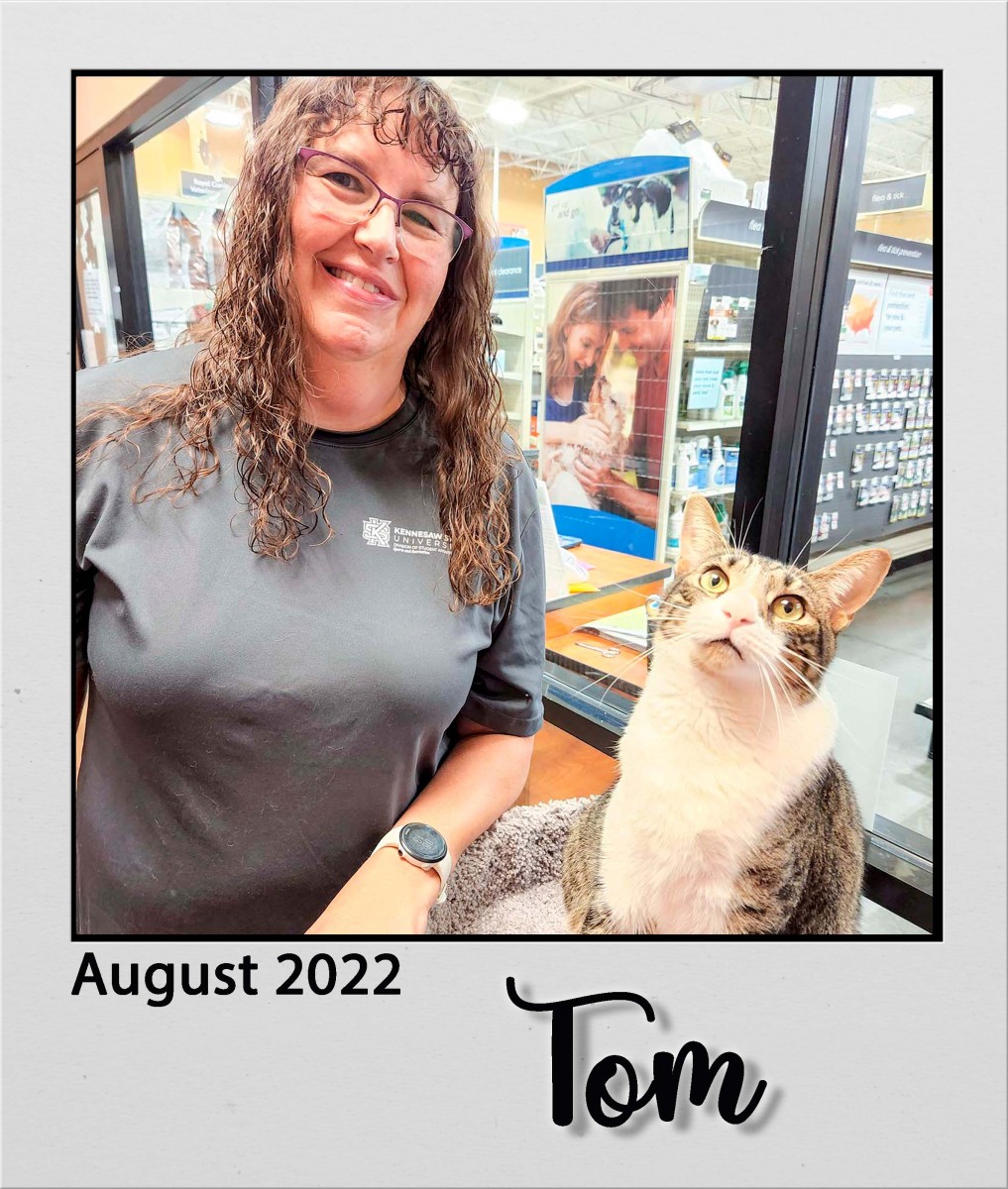 Adopt-Tom-Aug2022