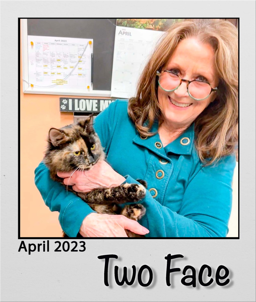 Adopt-Two-Face-Apr2023