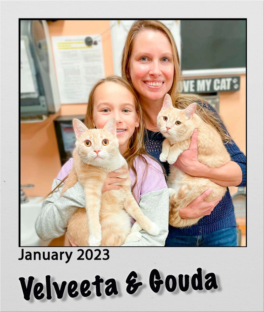 Adopt-Velveeta-and-Gouda-Jan2023