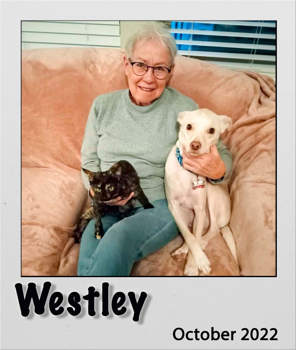 Adopt-Westley-Oct2022