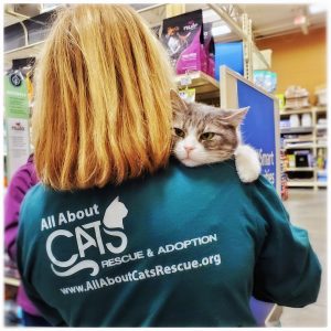Home - All About Cats Rescue & Adoption - Roswell, GA