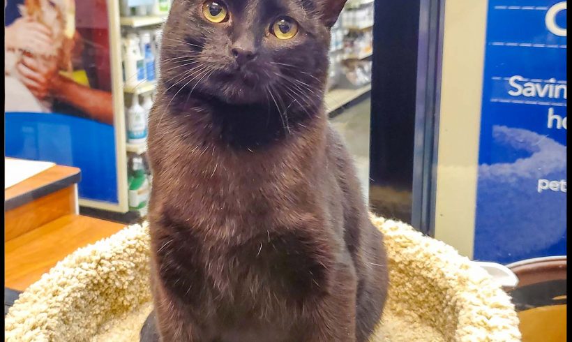 Binx