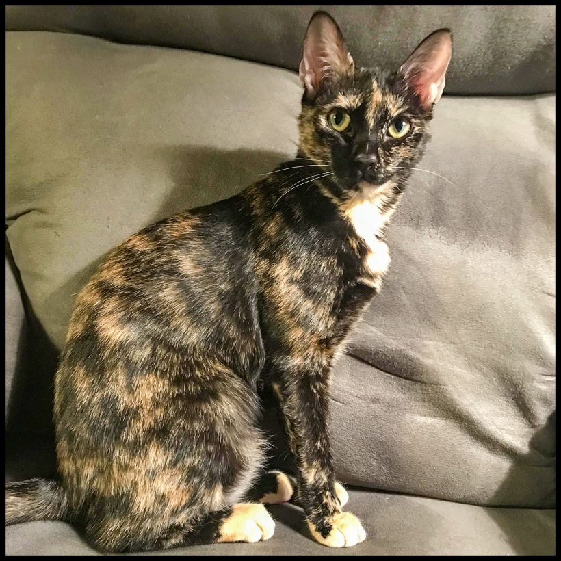 Louise