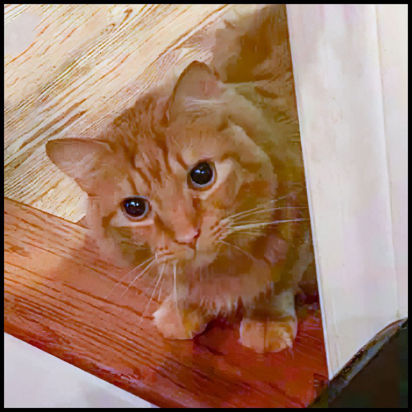 Cheddar