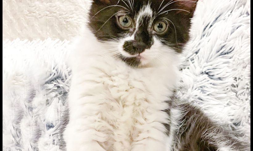 Klondike