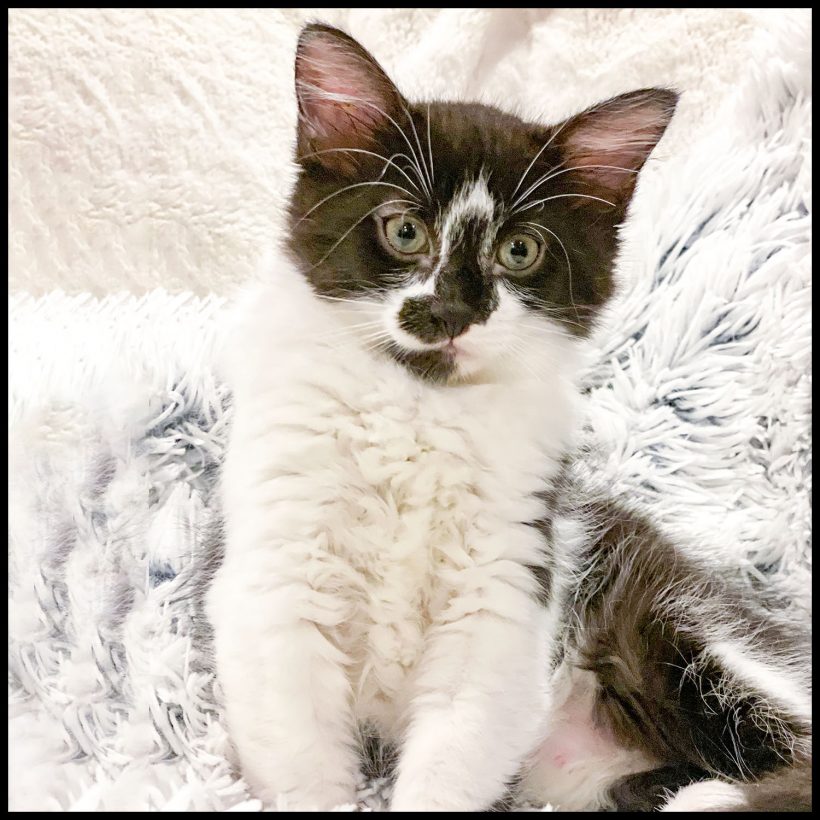Klondike