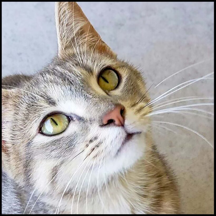 Gabby