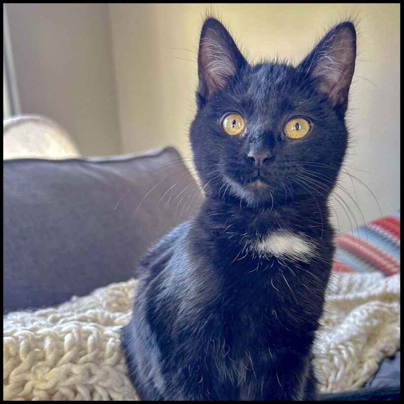 Bea