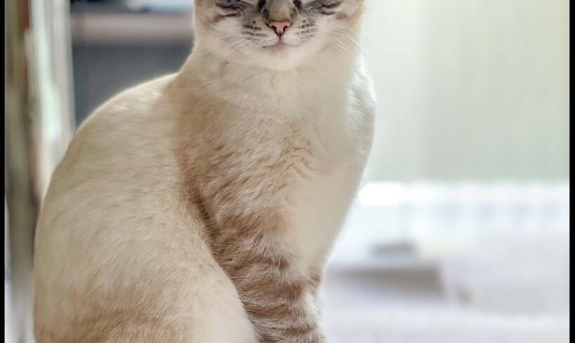 Percy