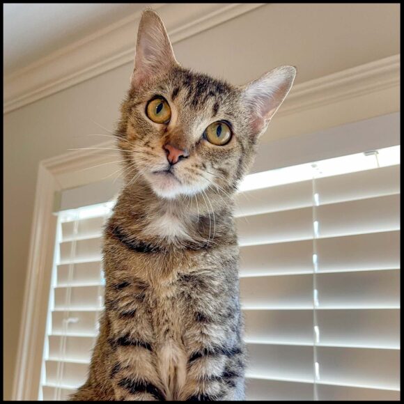 Kiki
