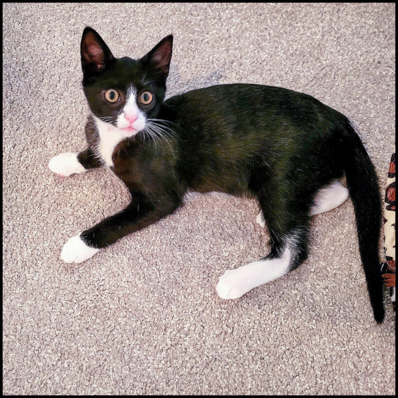 Yukio